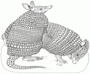 on noahs ark coloring mural  armadillos by jan brett